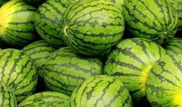 大赛每日一赛吃瓜爆料,揭秘赛场背后的精彩瞬间